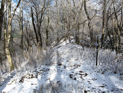 20191129hike (99)
